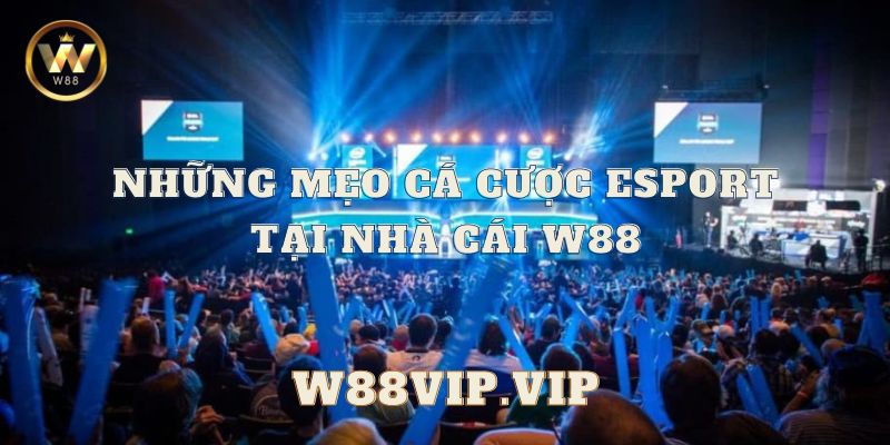 ca cuoc esport w88